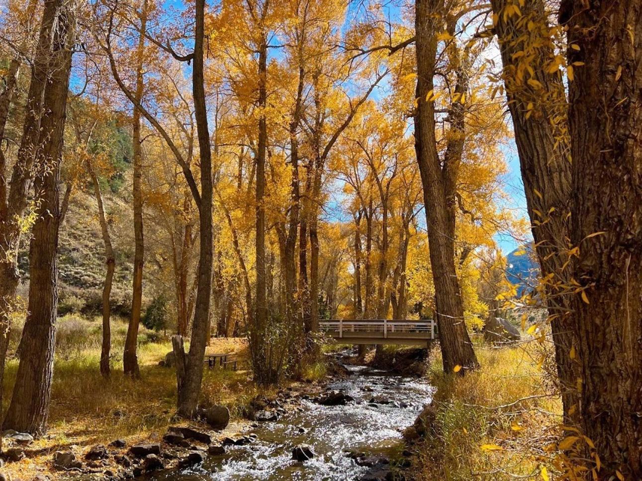 Poncha Creek Mountain Lodge, Near Monarch Mtn Salida Bagian luar foto